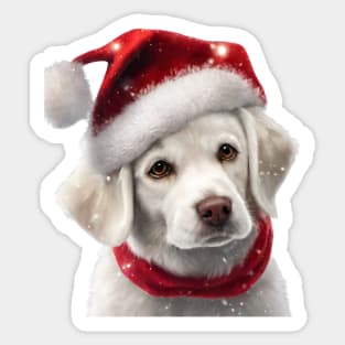 a sweet dog with Santa Claus hat Sticker